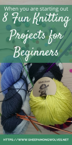 When you are starting out: 8 fun beginner knitting projects - Sheep ...