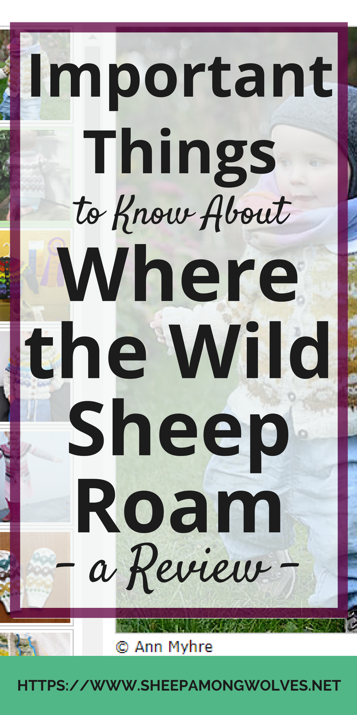 Are you thinking about knitting "Where the Wild Sheep Roam"? Don't know if it's for you? In this review, I tell you what you need to know before casting on.